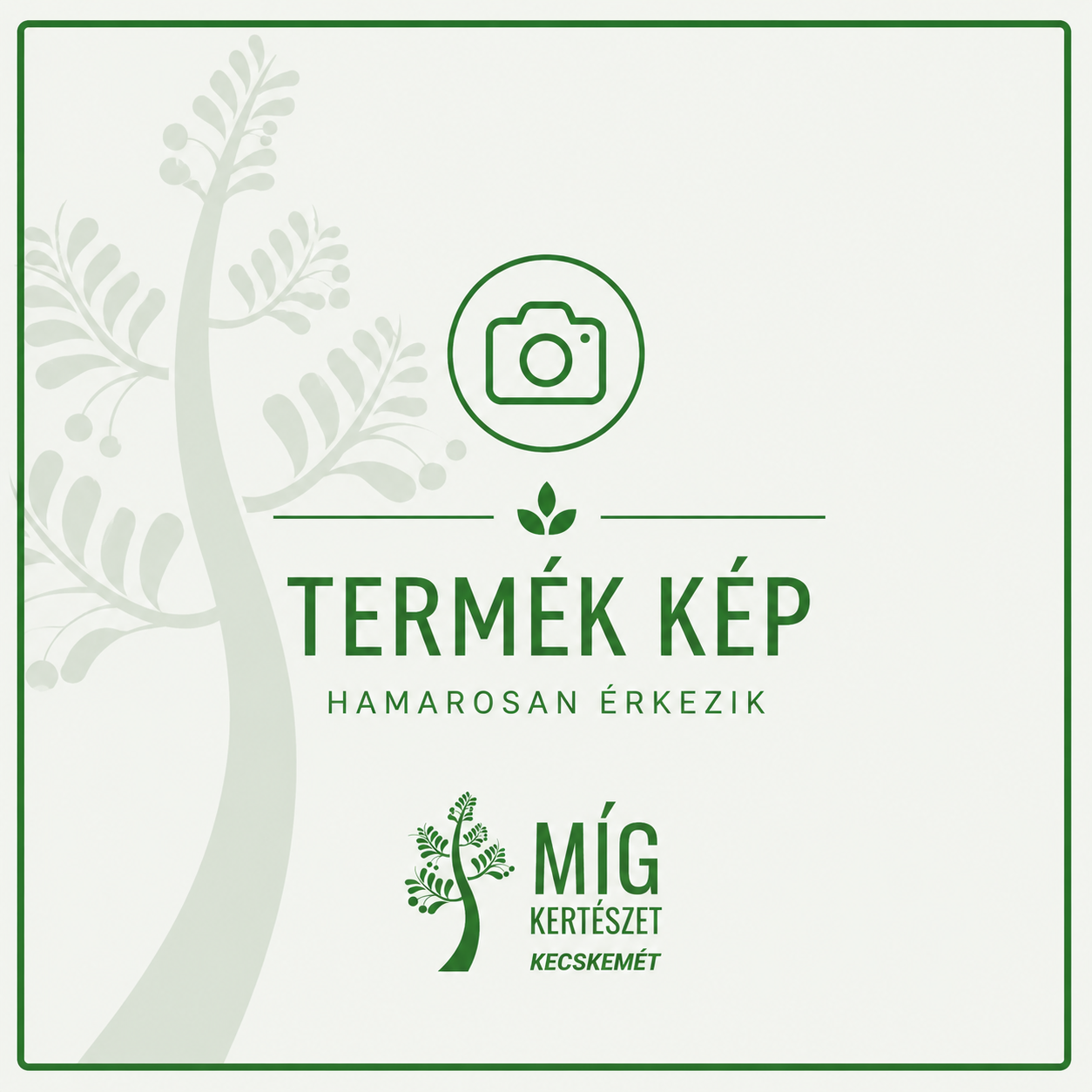 Konténeres Mandulafa videó